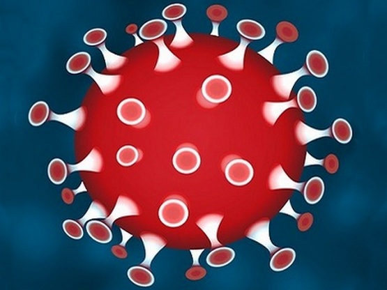 Covid-19 vírus